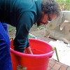 The mud bucket